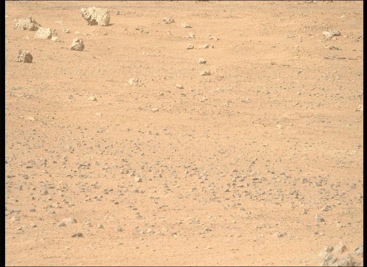 This image was taken by MCZ_RIGHT onboard NASA's Mars rover Perseverance on Sol 1306