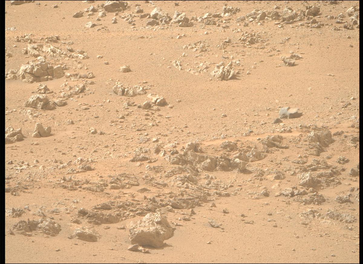 This image was taken by MCZ_RIGHT onboard NASA's Mars rover Perseverance on Sol 1306