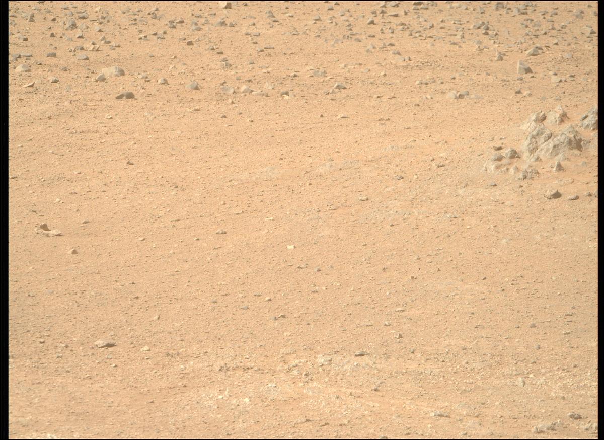 This image was taken by MCZ_RIGHT onboard NASA's Mars rover Perseverance on Sol 1306