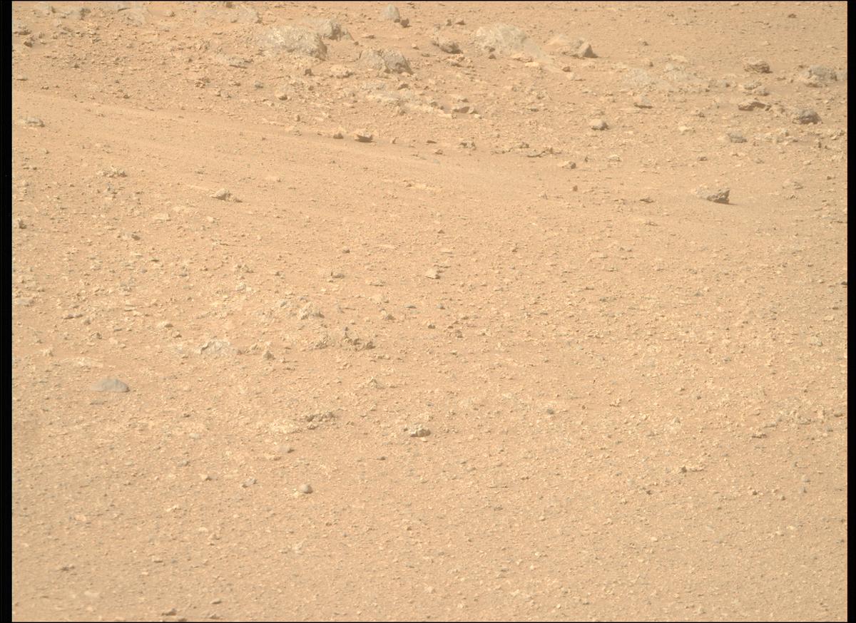 This image was taken by MCZ_RIGHT onboard NASA's Mars rover Perseverance on Sol 1306