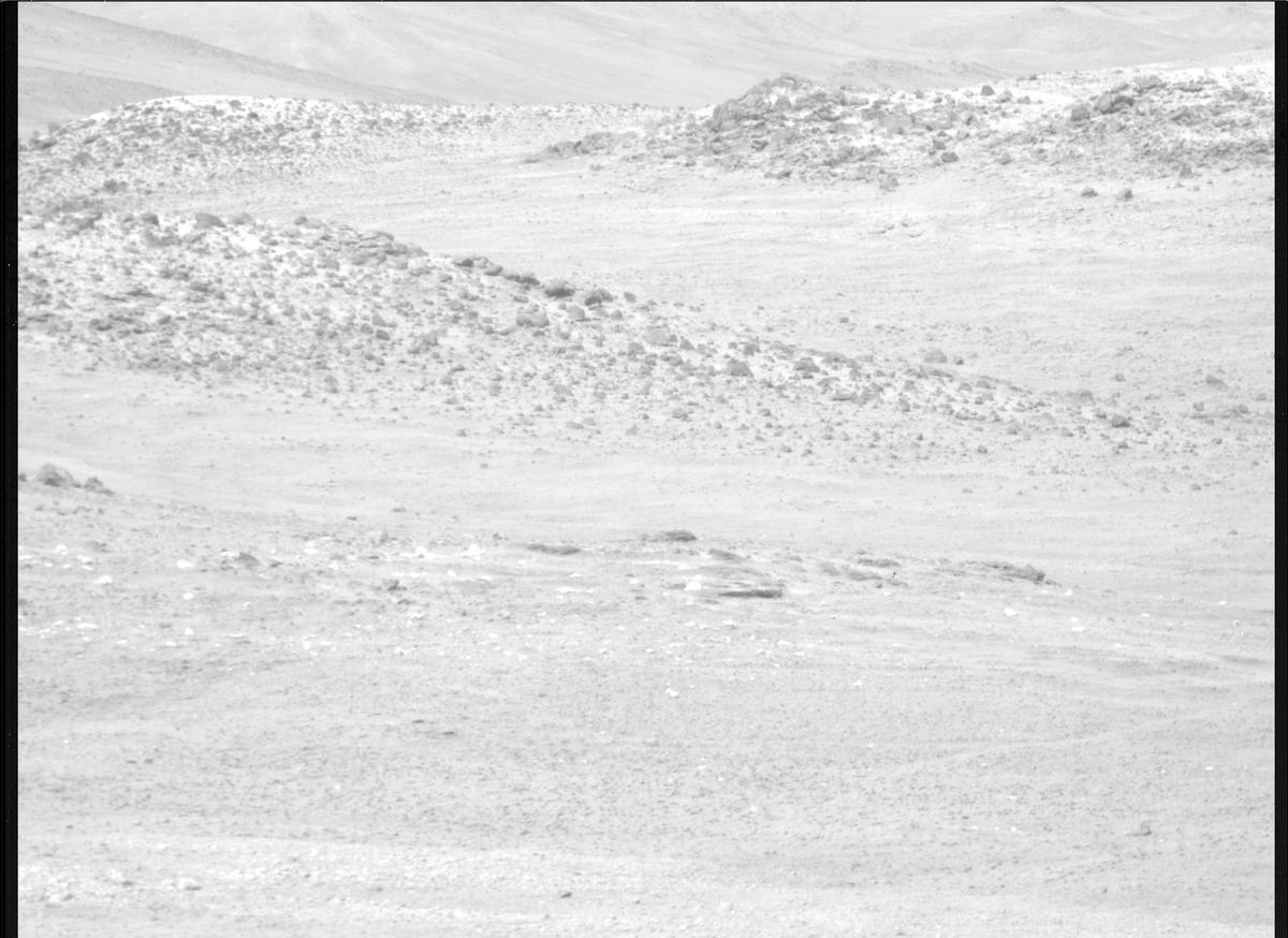 This image was taken by MCZ_RIGHT onboard NASA's Mars rover Perseverance on Sol 1306