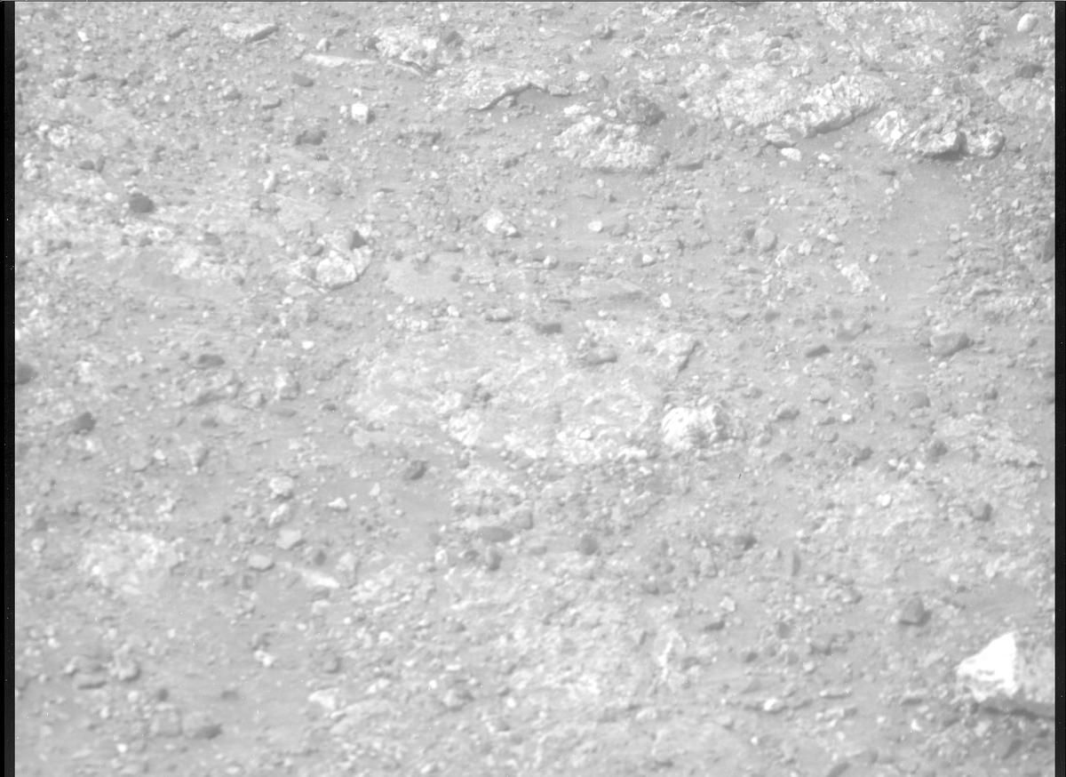 This image was taken by MCZ_RIGHT onboard NASA's Mars rover Perseverance on Sol 1306
