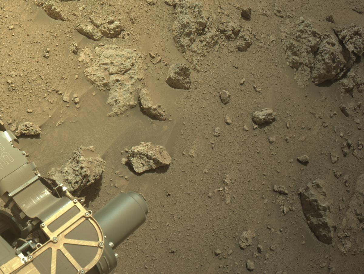 This image was taken by NAVCAM_RIGHT onboard NASA's Mars rover Perseverance on Sol 1308