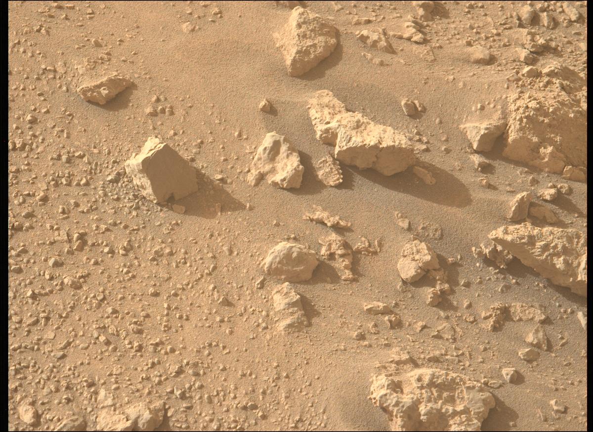 This image was taken by MCZ_LEFT onboard NASA's Mars rover Perseverance on Sol 1308