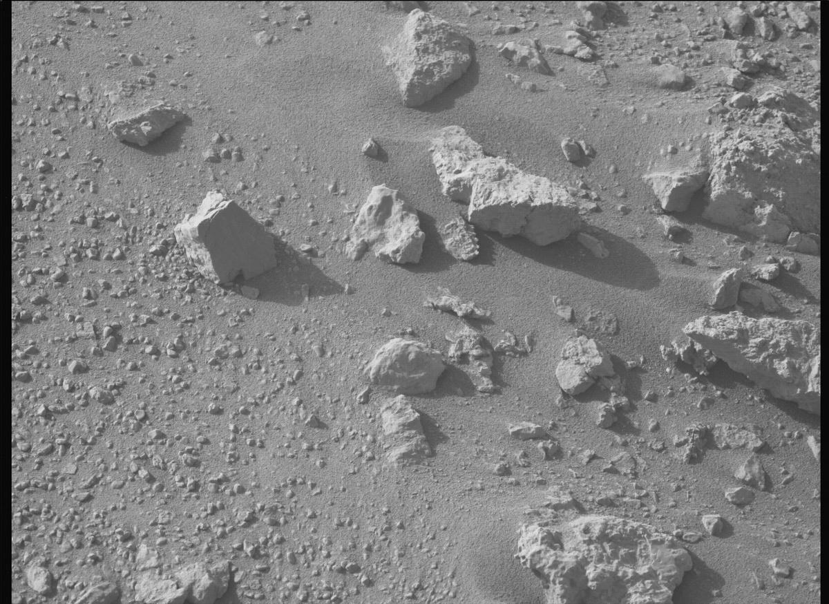 This image was taken by MCZ_LEFT onboard NASA's Mars rover Perseverance on Sol 1308
