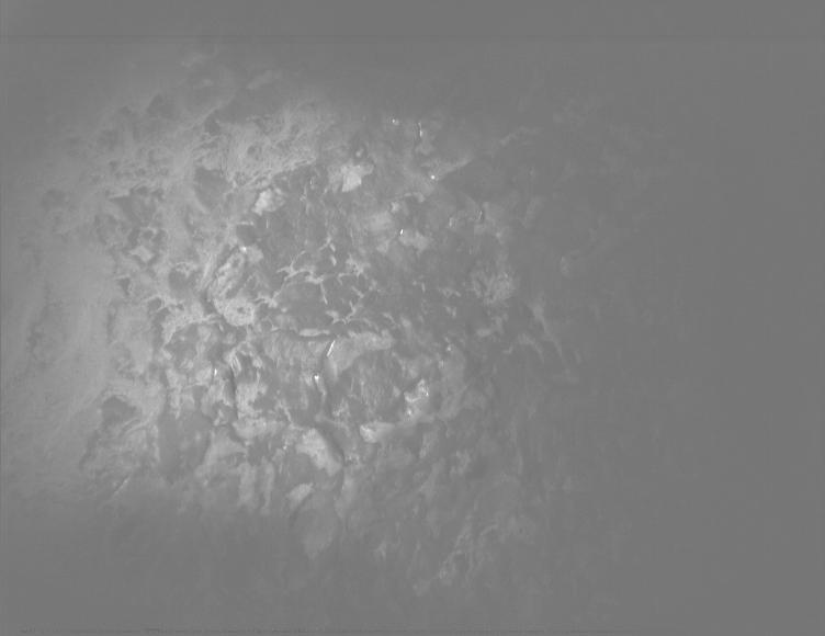 This image was taken by PIXL_MCC onboard NASA's Mars rover Perseverance on Sol 1309