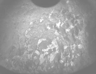 View image taken on Mars, Mars Perseverance Sol 1309: PIXL Camera 