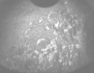 View image taken on Mars, Mars Perseverance Sol 1309: PIXL Camera 