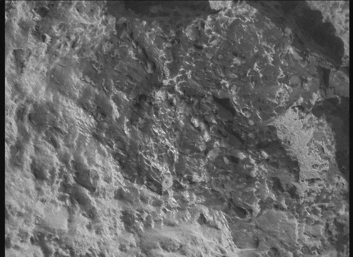 This image was taken by SHERLOC_WATSON onboard NASA's Mars rover Perseverance on Sol 1309