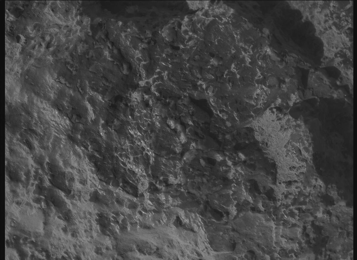 This image was taken by SHERLOC_WATSON onboard NASA's Mars rover Perseverance on Sol 1309