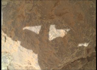 View image taken on Mars, Mars Perseverance Sol 1309: WATSON Camera 