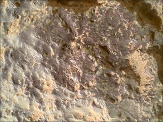View image taken on Mars, Mars Perseverance Sol 1309: WATSON Camera 