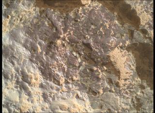 View image taken on Mars, Mars Perseverance Sol 1309: WATSON Camera 