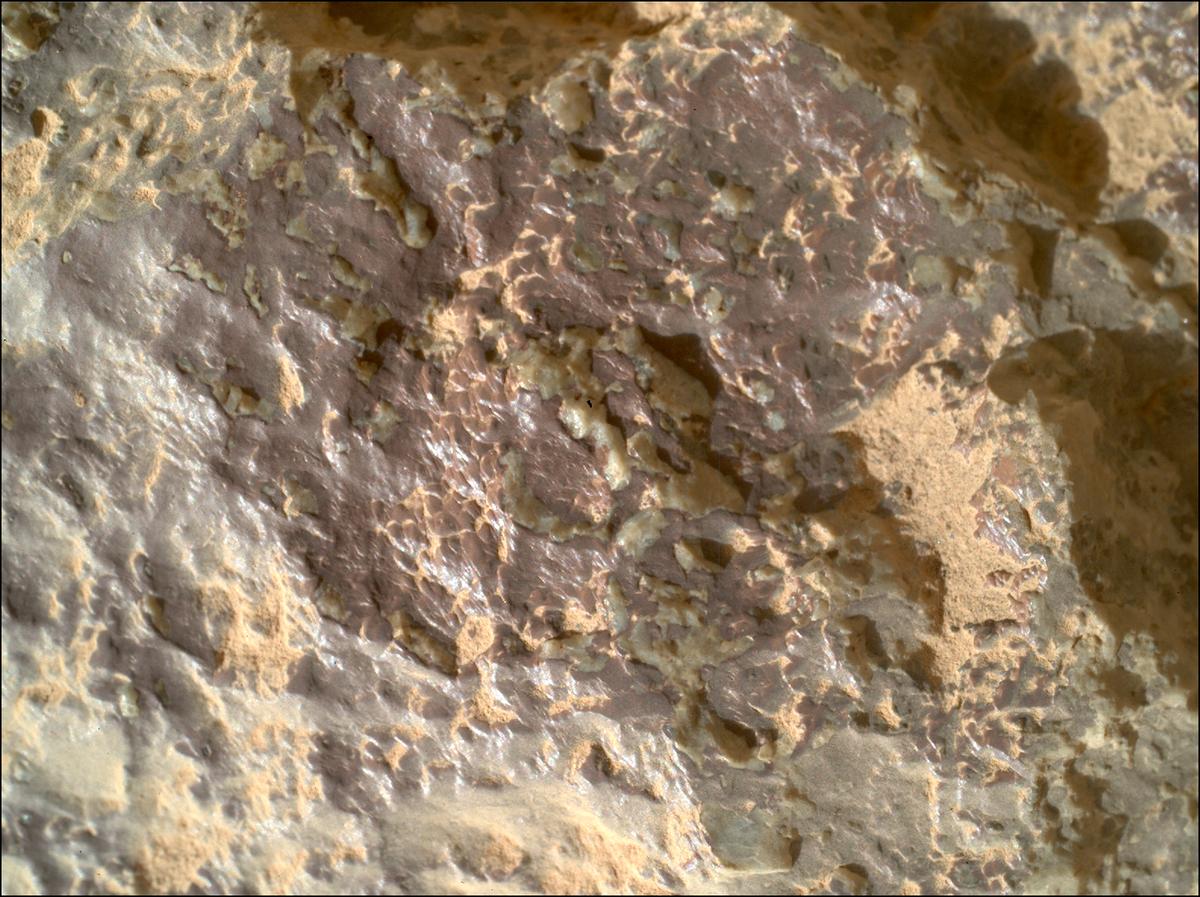 This image was taken by SHERLOC_WATSON onboard NASA's Mars rover Perseverance on Sol 1309