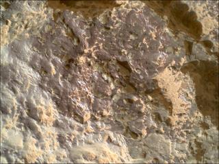 View image taken on Mars, Mars Perseverance Sol 1309: WATSON Camera 
