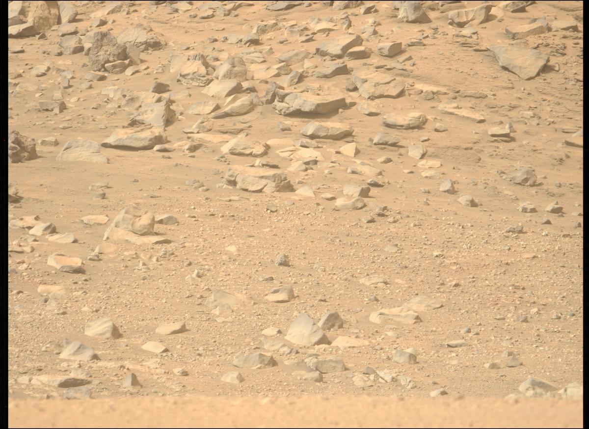 This image was taken by MCZ_LEFT onboard NASA's Mars rover Perseverance on Sol 1309