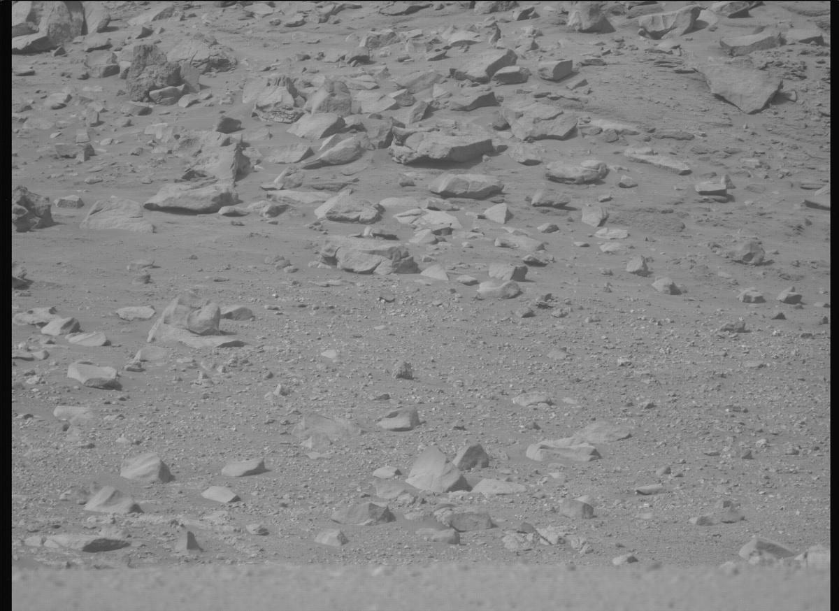 This image was taken by MCZ_LEFT onboard NASA's Mars rover Perseverance on Sol 1309