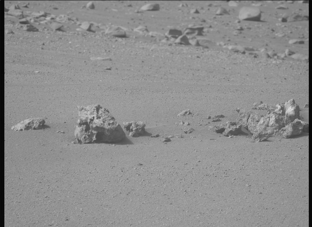 This image was taken by MCZ_LEFT onboard NASA's Mars rover Perseverance on Sol 1309
