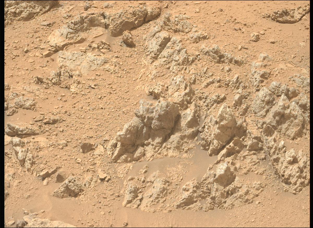 This image was taken by MCZ_LEFT onboard NASA's Mars rover Perseverance on Sol 1309