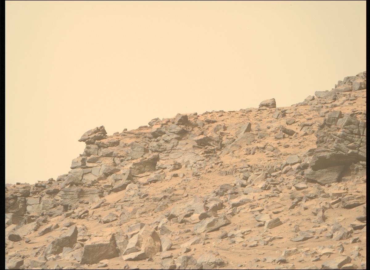 This image was taken by MCZ_RIGHT onboard NASA's Mars rover Perseverance on Sol 1309