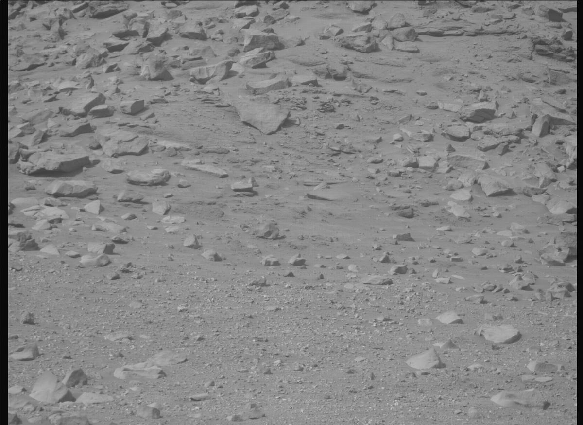 This image was taken by MCZ_RIGHT onboard NASA's Mars rover Perseverance on Sol 1309