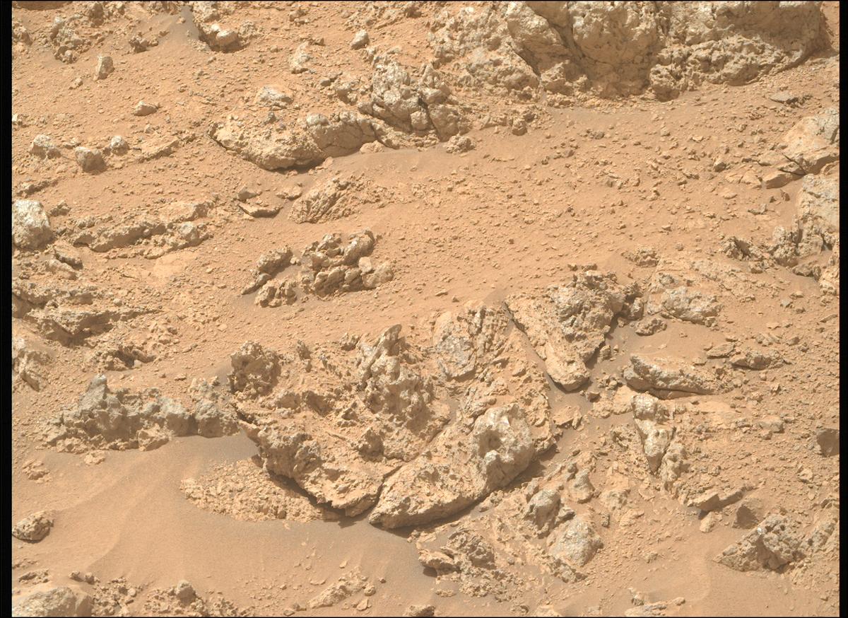 This image was taken by MCZ_RIGHT onboard NASA's Mars rover Perseverance on Sol 1309