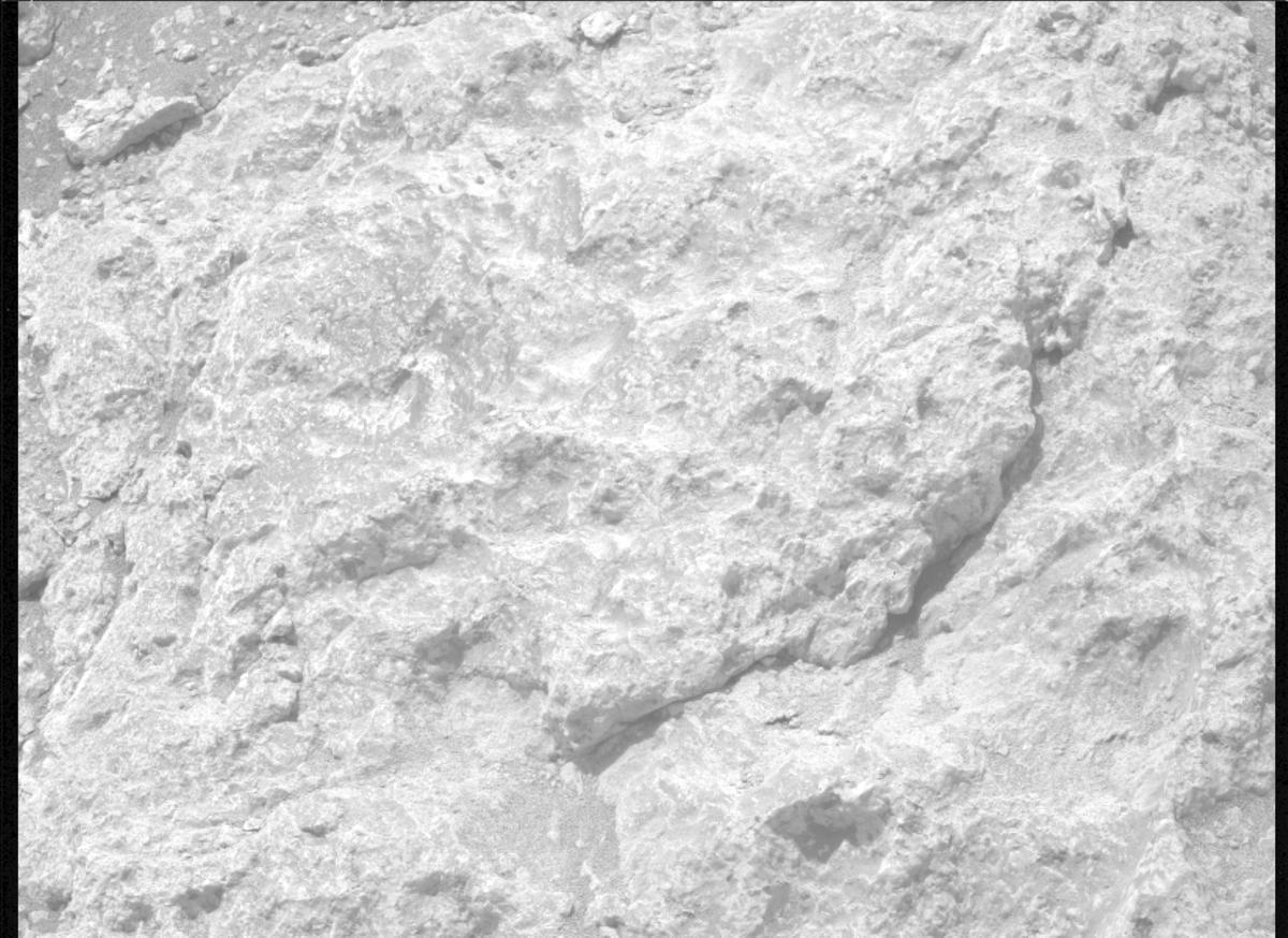 This image was taken by MCZ_RIGHT onboard NASA's Mars rover Perseverance on Sol 1309