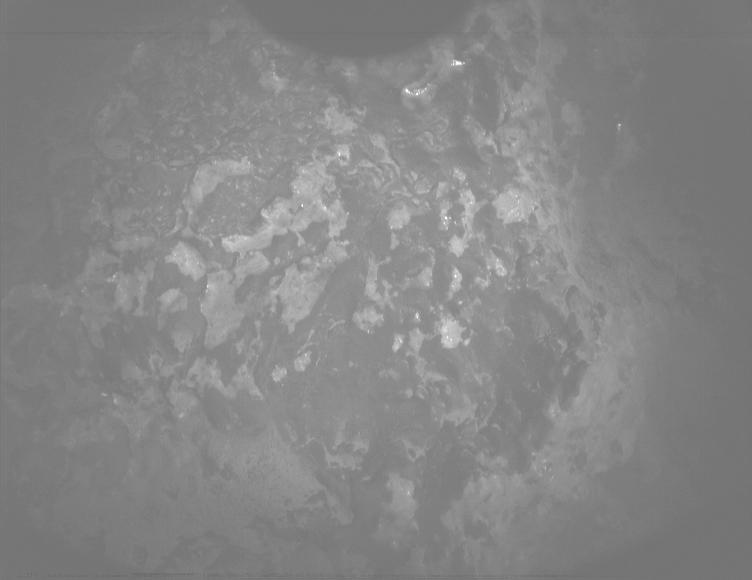 This image was taken by PIXL_MCC onboard NASA's Mars rover Perseverance on Sol 1310