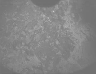 View image taken on Mars, Mars Perseverance Sol 1310: PIXL Camera 