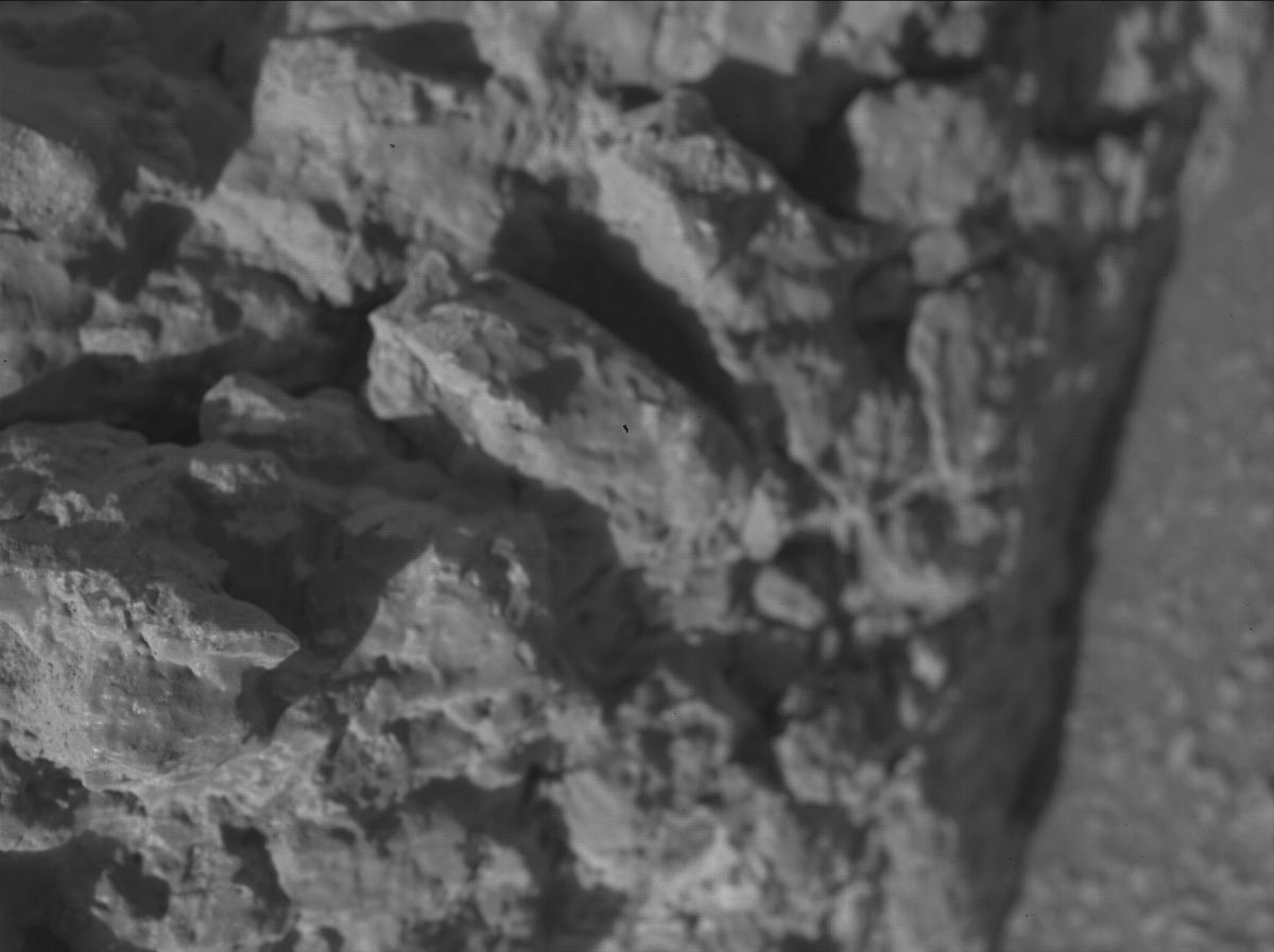 This image was taken by SHERLOC_WATSON onboard NASA's Mars rover Perseverance on Sol 1310