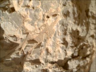 View image taken on Mars, Mars Perseverance Sol 1310: WATSON Camera 