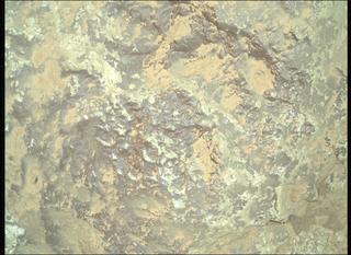 View image taken on Mars, Mars Perseverance Sol 1310: WATSON Camera 