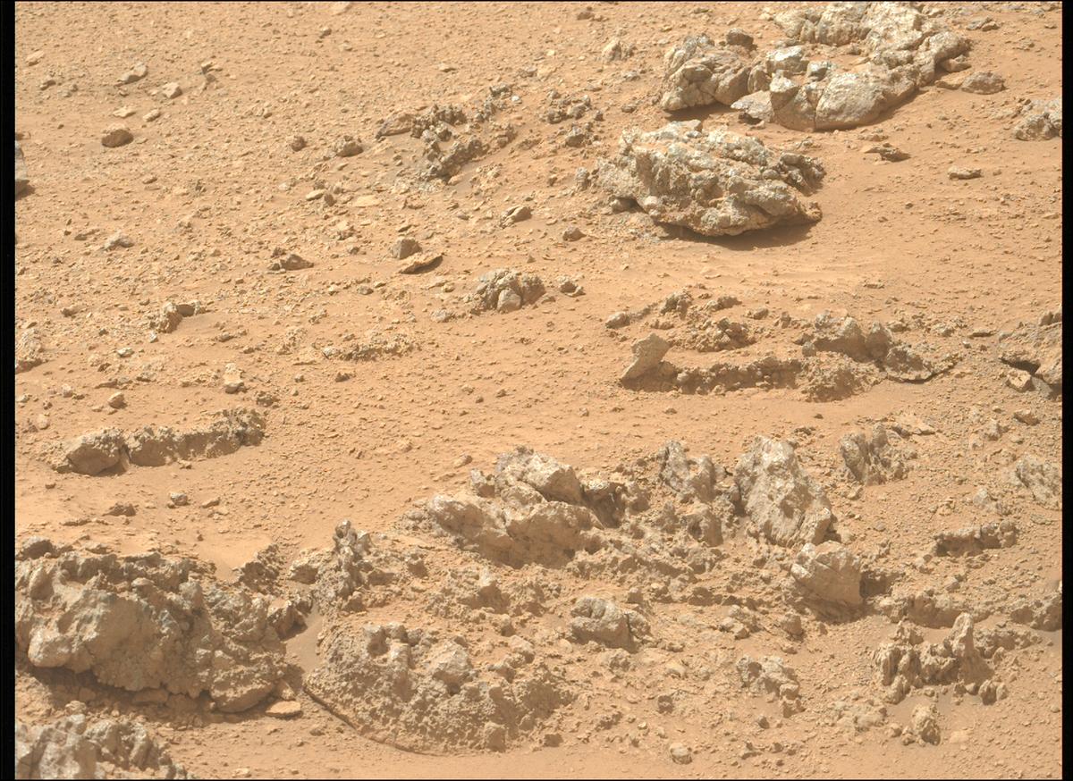 This image was taken by MCZ_LEFT onboard NASA's Mars rover Perseverance on Sol 1311
