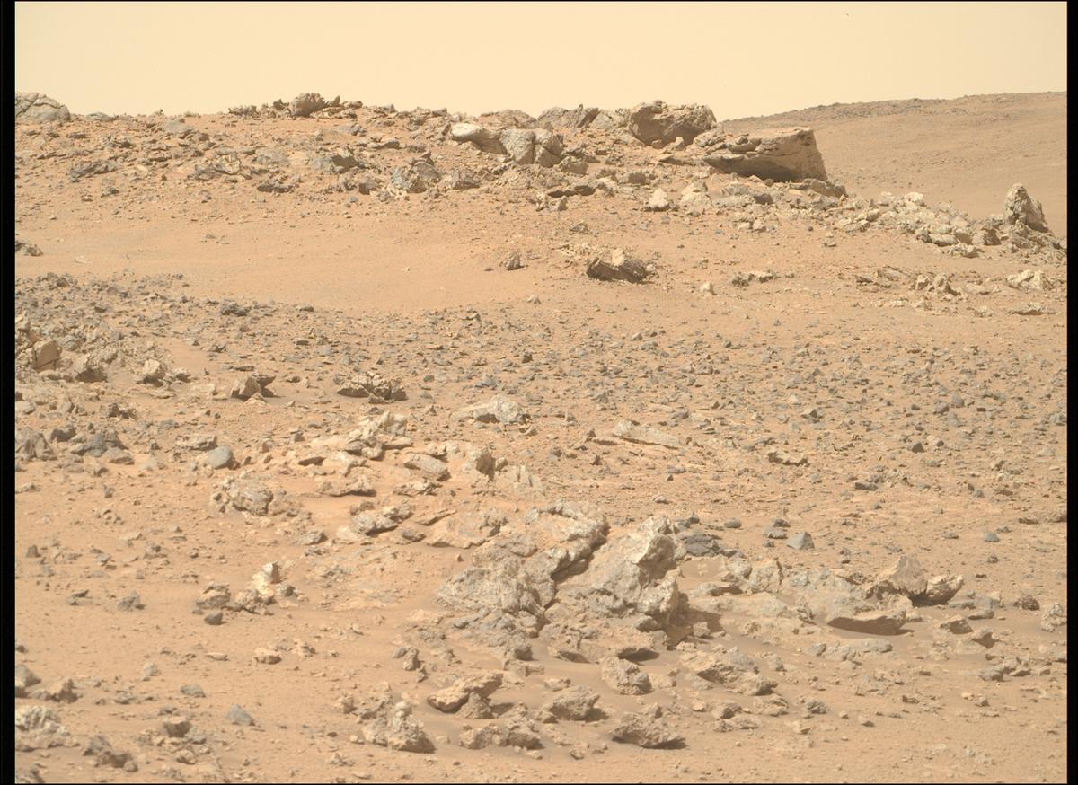 This image was taken by MCZ_RIGHT onboard NASA's Mars rover Perseverance on Sol 1311