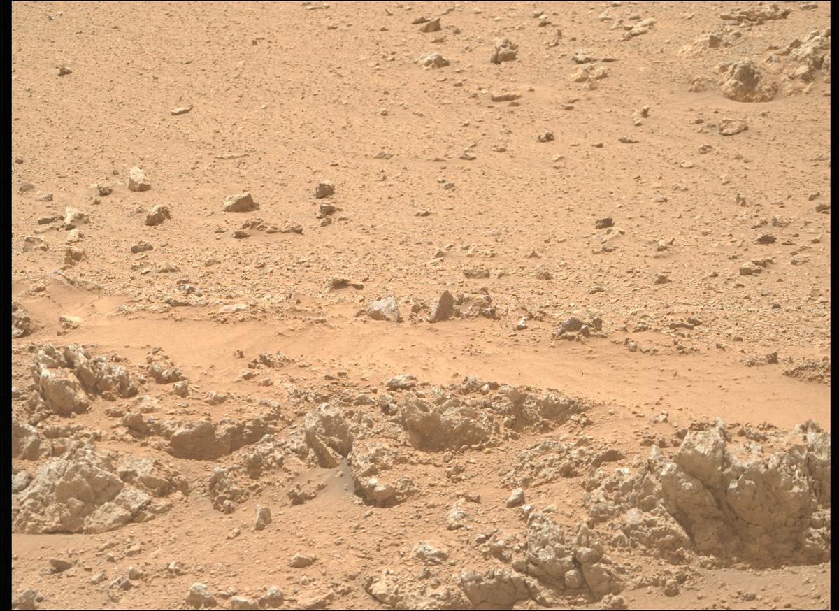 This image was taken by MCZ_RIGHT onboard NASA's Mars rover Perseverance on Sol 1311