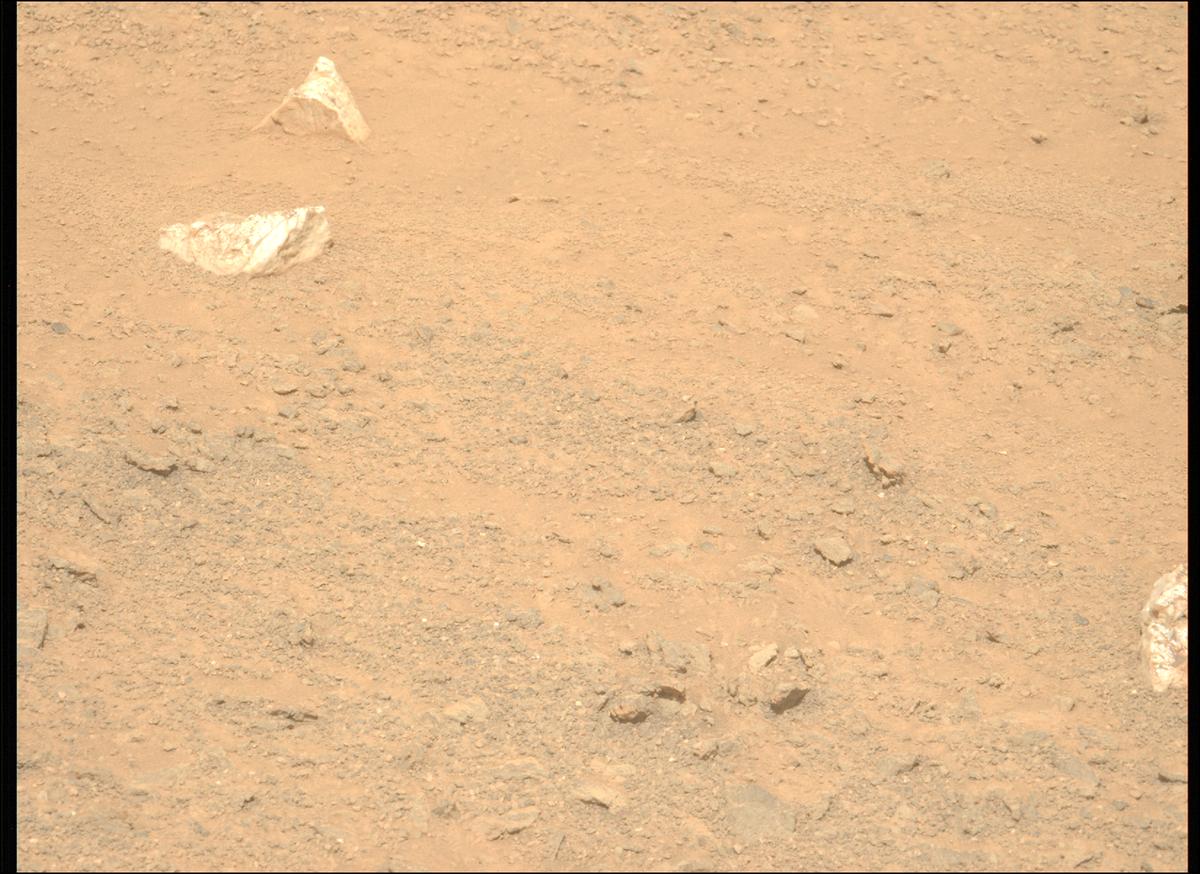 This image was taken by MCZ_LEFT onboard NASA's Mars rover Perseverance on Sol 1313