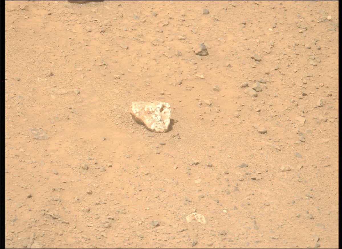 This image was taken by MCZ_LEFT onboard NASA's Mars rover Perseverance on Sol 1313