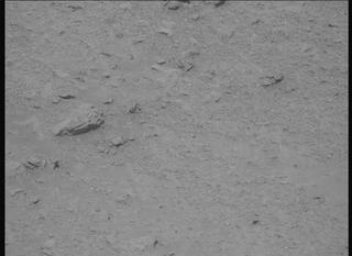 View image taken on Mars, Mars Perseverance Sol 1313: Left Mastcam-Z Camera