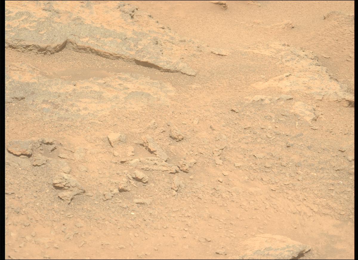 This image was taken by MCZ_LEFT onboard NASA's Mars rover Perseverance on Sol 1313