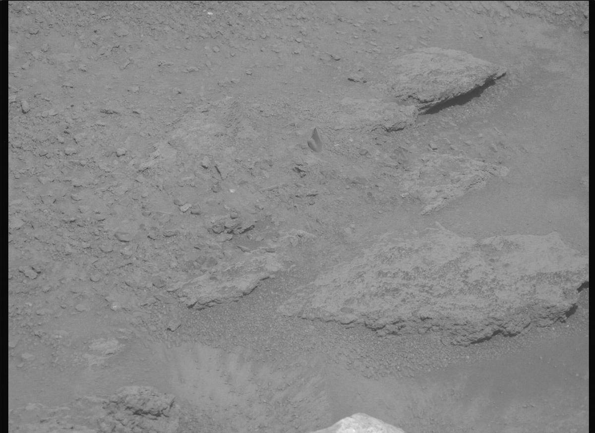 This image was taken by MCZ_LEFT onboard NASA's Mars rover Perseverance on Sol 1313