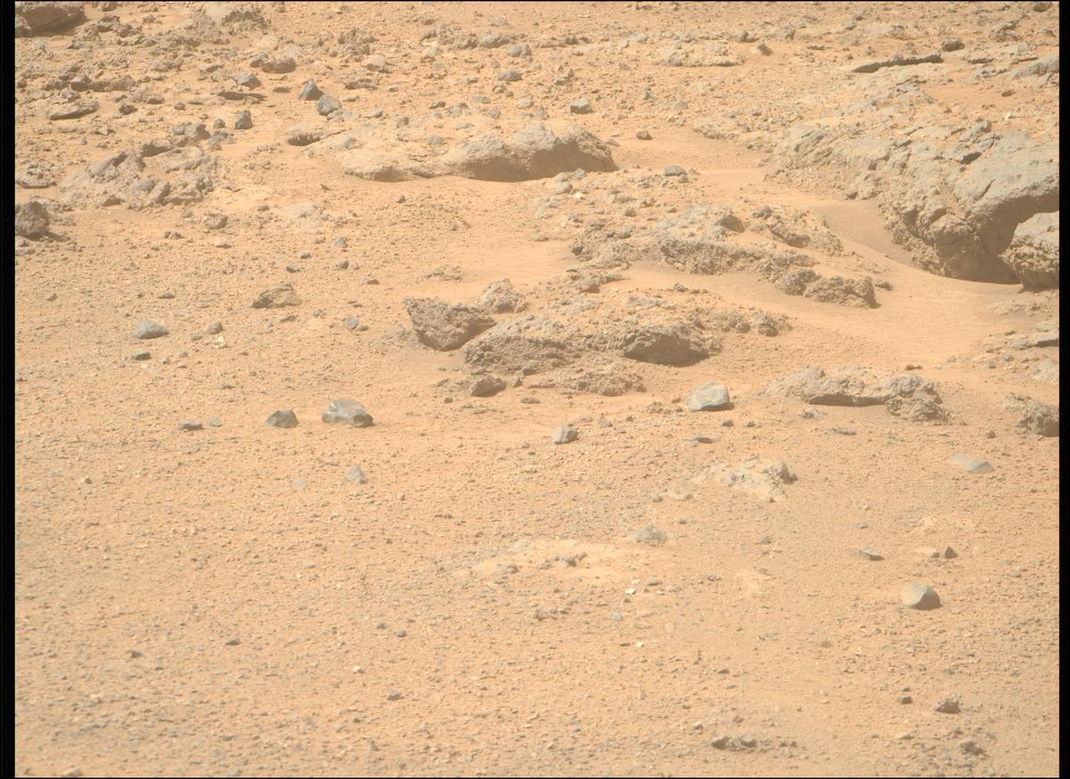 This image was taken by MCZ_RIGHT onboard NASA's Mars rover Perseverance on Sol 1313
