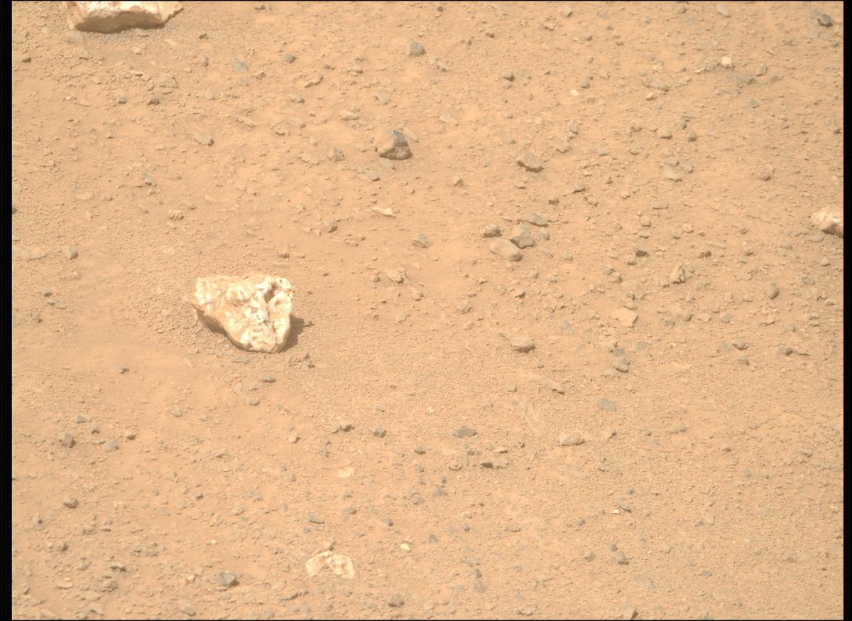 This image was taken by MCZ_RIGHT onboard NASA's Mars rover Perseverance on Sol 1313