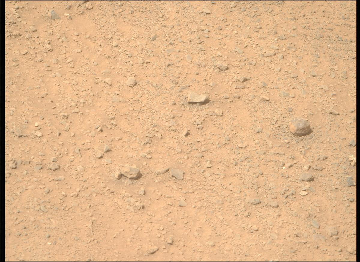 This image was taken by MCZ_RIGHT onboard NASA's Mars rover Perseverance on Sol 1313