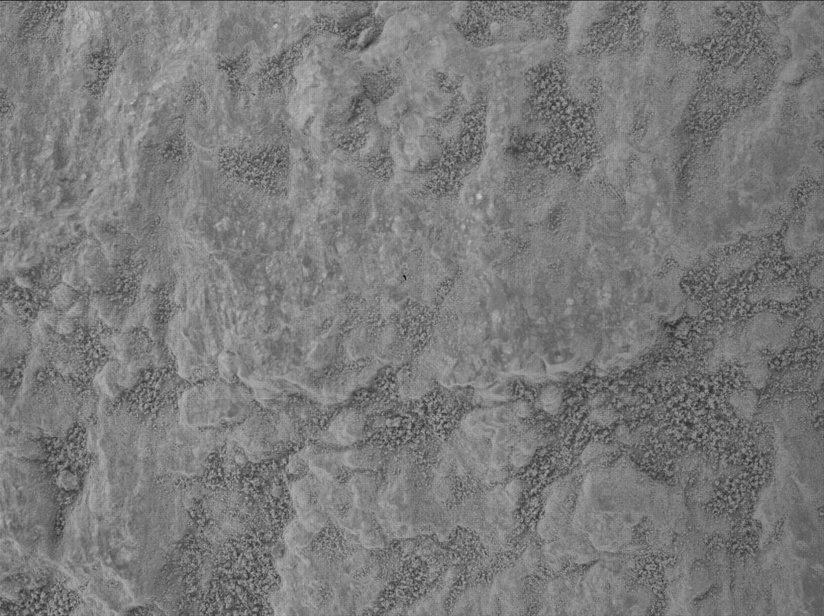 This image was taken by SHERLOC_WATSON onboard NASA's Mars rover Perseverance on Sol 1315