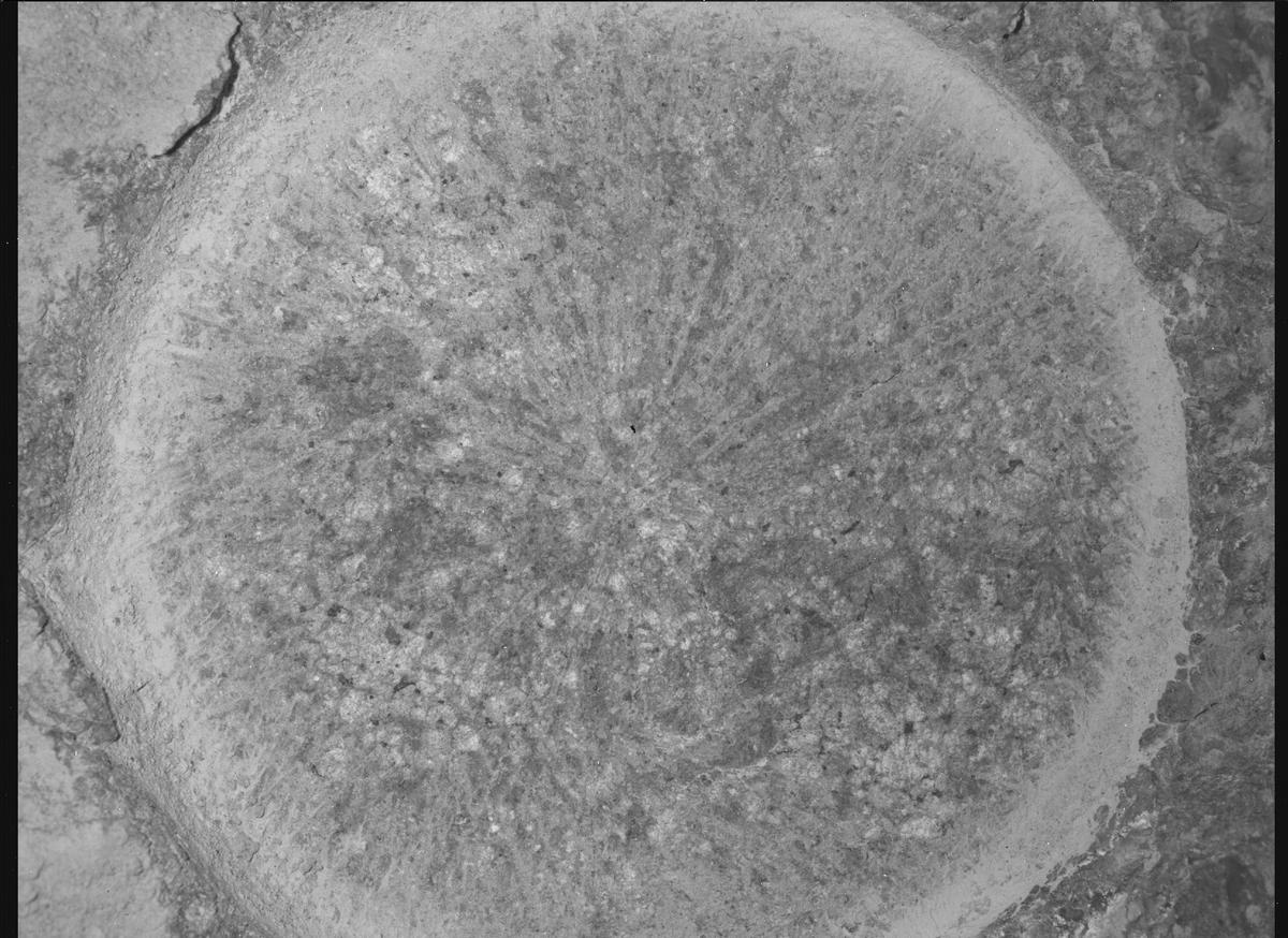 This image was taken by SHERLOC_WATSON onboard NASA's Mars rover Perseverance on Sol 1315