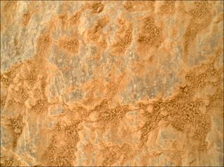 View image taken on Mars, Mars Perseverance Sol 1315: WATSON Camera 