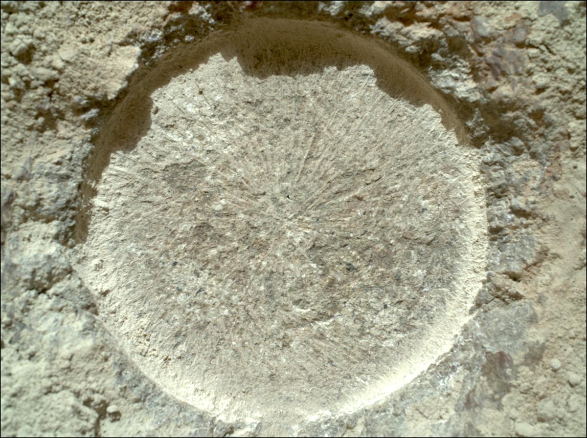 This image was taken by SHERLOC_WATSON onboard NASA's Mars rover Perseverance on Sol 1315