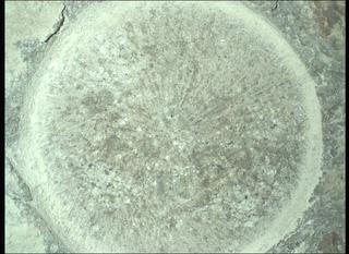 View image taken on Mars, Mars Perseverance Sol 1315: WATSON Camera 