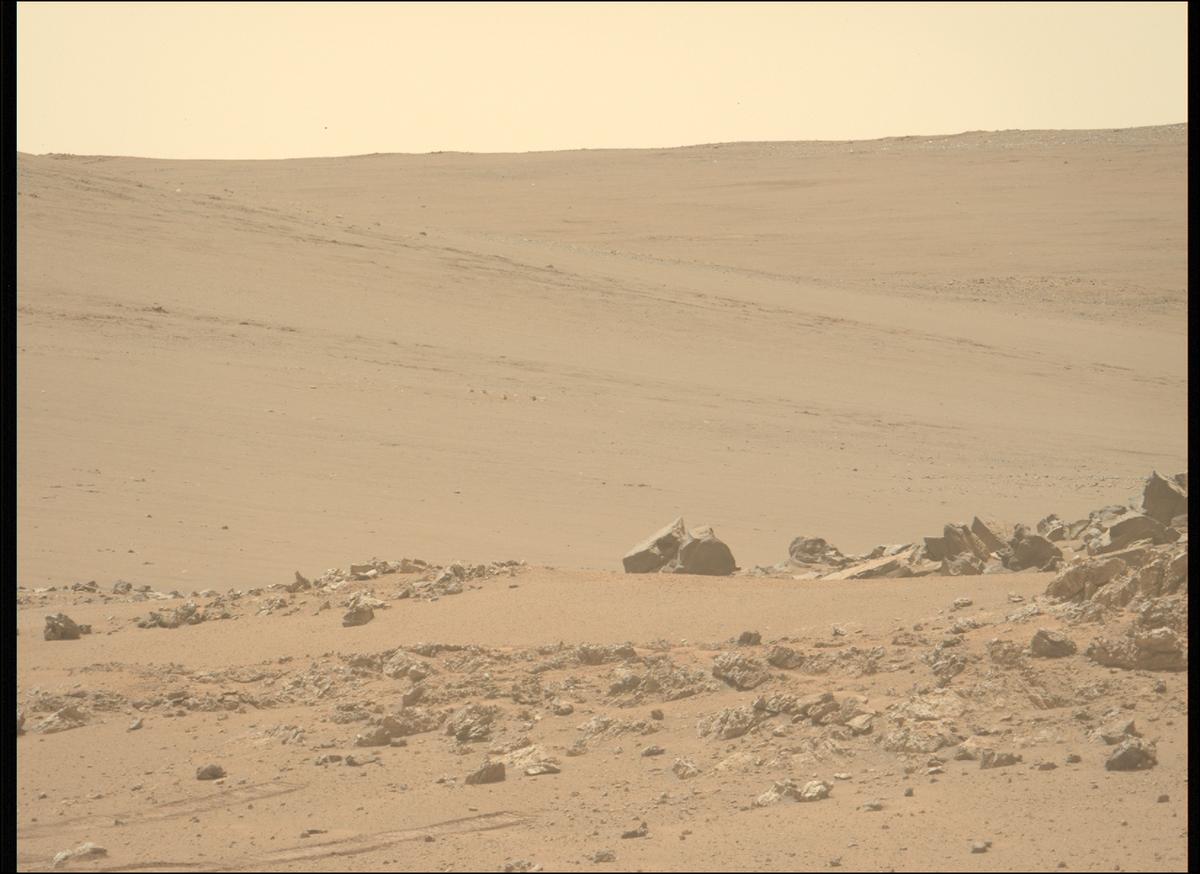 This image was taken by MCZ_LEFT onboard NASA's Mars rover Perseverance on Sol 1315
