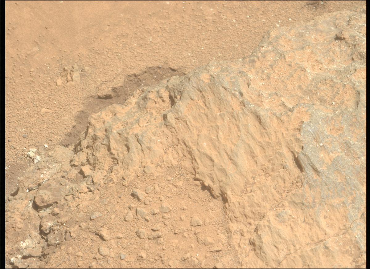 This image was taken by MCZ_LEFT onboard NASA's Mars rover Perseverance on Sol 1316